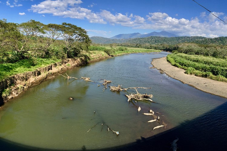 Tarcoles rivier bij Carara Nationaal park